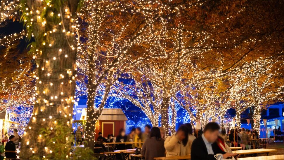 QTnet presents 光のフォレスト 2025｜11月13日（木）〜12月25日（木）天神中央公園で開催🎄✨